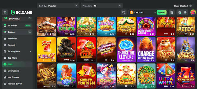 Exploring the Payment Options on Hash.Game